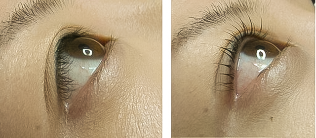 癒し空間の写真